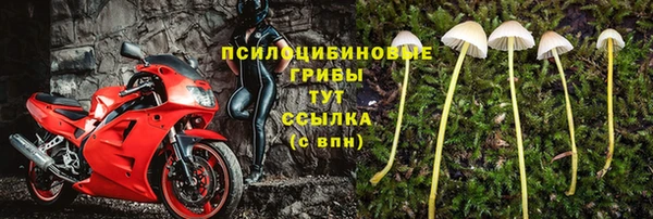 дурь Алексеевка